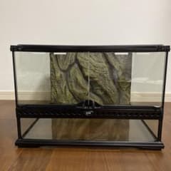 m46958168254_1.jpg?1714569398