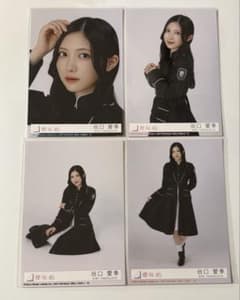 櫻坂46 生写真 13th封入 コンプ 谷口愛季 - メルカリ