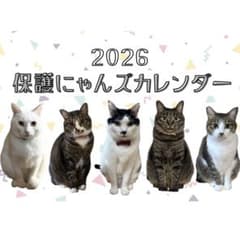 最終値下げ】2026年 保護にゃんズカレンダー 壁掛けカレンダー ねこ