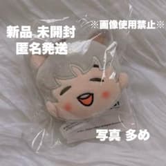 Mrs. GREEN APPLE ソウルコン限定 ぬいぐるみキーリング 藤澤涼架