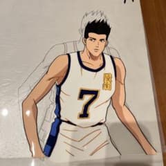 m42962748292_1.jpg?1735479694