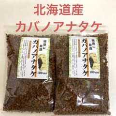 カバノアナタケ 北海道産 100g×2袋 チャーガ カバノアナタケ茶