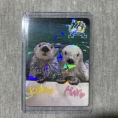 m58956715260_1.jpg?1754618138