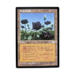 MTG 日本語 水蓮の谷間 Lotus Vale WTH 再録禁止 - メルカリ