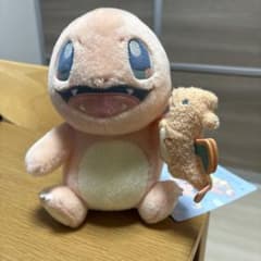 ポケモン Little Daydream ヒトカゲとリザードンぬいぐるみ - メルカリ