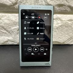 SONY ソニー ウォークマン NW-A45 16GB 中古良品 動作品 - メルカリ