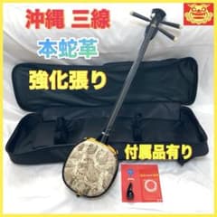 三線 沖縄 蛇革 蛇皮 本革 ソフトケース 付属品 和楽器 初心者 中級者