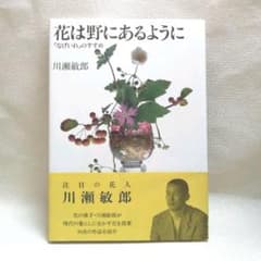 m52566520169_1.jpg?1634101778