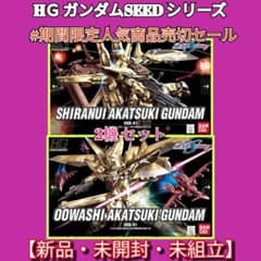 HGCE ガンダムSEEDシリーズ#クリスマスイブ限定セール アカツキ