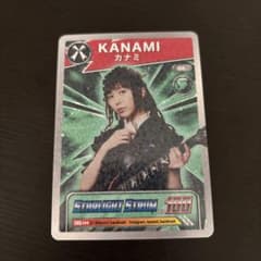 m64293299849_1.jpg?1754448200