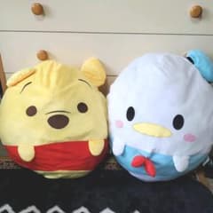 ポケモンセンター ヒノアラシ 10thアニバーサリー ポケモンドール