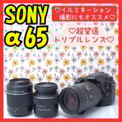 ❤即購入1000円OFF❤SONY α65❤超望遠トリプルレンズ❤超高画質