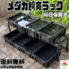 m61594774087_1.jpg?1709994938