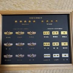 警察官階級章バッジレプリカ 飾り木製フレーム付き - メルカリ