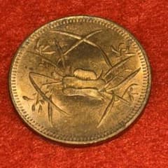 中国 古銭 中華民国四川省 馬蘭幣 記念 海外 コイン 近代 中華民國