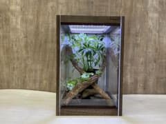 F and K 爬虫類木製ケージ作製販売 の出品した商品 - メルカリ