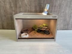 F and K 爬虫類木製ケージ作製販売 の出品した商品 - メルカリ