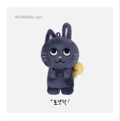RIIZE ウォンビン トニャンドク ぬいぐるみ 10cm - メルカリ
