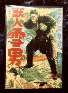 m73519539865_1.jpg?1715169395