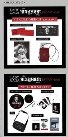 おまけ付き❗️Lady Gaga VIP Gold 特典限定グッズフルセット7点