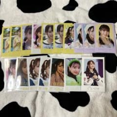 m84311484738_1.jpg?1729389847