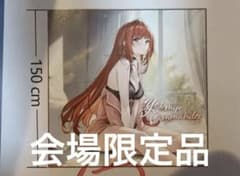 コミケ 冬コミ c107 NIKKE ラピ ブランケット - メルカリ