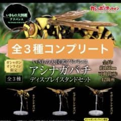 いきもの大図鑑アドバンス アシナガバチ フィギュア ガチャガチャ