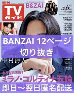 週刊TVガイド B&ZAI バンザイ 雑誌 切り抜き - メルカリ