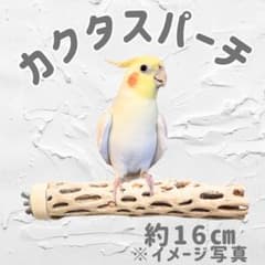鳥用品 止まり木 カクタス スケルトン パーチ 中細 No.553 - メルカリ