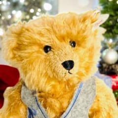 ヤナーヤナ様専用 シュタイフ テディベア センチュリー ベア ブロンド