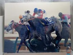 2026年最新】オグリキャップ 有馬記念 パネルの人気アイテム - メルカリ