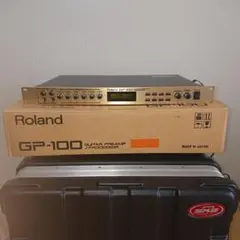 2026年最新】roland gp 100の人気アイテム - メルカリ