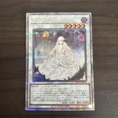 2026年最新】ガーデンローズ 25thの人気アイテム - メルカリ