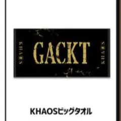 2026年最新】Gackt タオルの人気アイテム - メルカリ