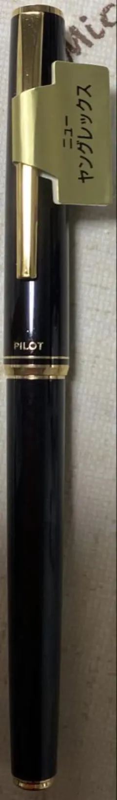 2026年最新】極太 万年筆の人気アイテム - メルカリ