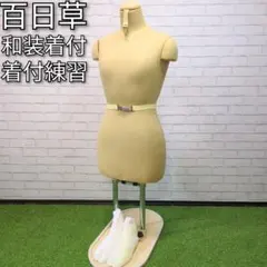 2026年最新】百日草ボディーの人気アイテム - メルカリ