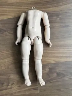 2026年最新】コンポジションドールの人気アイテム - メルカリ