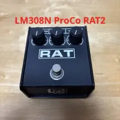 2026年最新】proco rat2 usaの人気アイテム - メルカリ