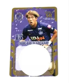 2026年最新】オンサイトカード サンフレッチェ広島の人気アイテム