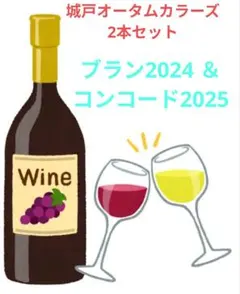 2026年最新】城戸ワイン オータムカラーズの人気アイテム - メルカリ