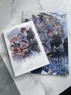 2026年最新】グラブル フェス パンフの人気アイテム - メルカリ