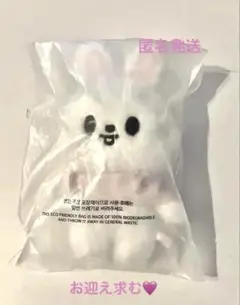 2026年最新】スキズ リノ ぬいぐるみの人気アイテム - メルカリ