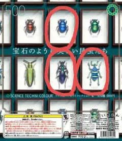 2026年最新】オオセンチコガネの人気アイテム - メルカリ