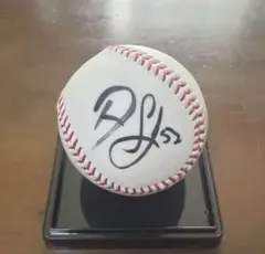 2026年最新】サファテ サインの人気アイテム - メルカリ