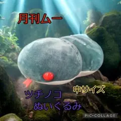 2026年最新】ツチノコ 月刊ムーの人気アイテム - メルカリ