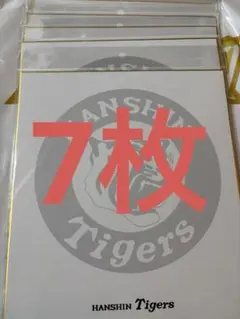 m34707999596_1.jpg?1770557043