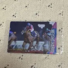 2026年最新】メイショウハリオの人気アイテム - メルカリ