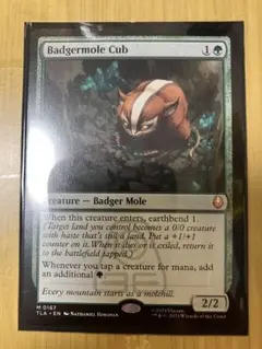 2026年最新】アナグマモグラの仔の人気アイテム - メルカリ