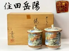 2026年最新】九谷 岳陽の人気アイテム - メルカリ