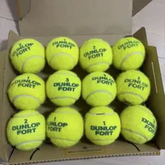 2026年最新】使用済みテニスボールの人気アイテム - メルカリ
